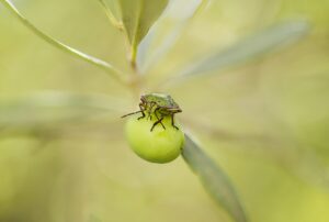 ワキガの臭いを消すための洗濯方法は？