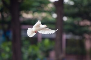 ワキガ対策に効果的な洗濯方法は？