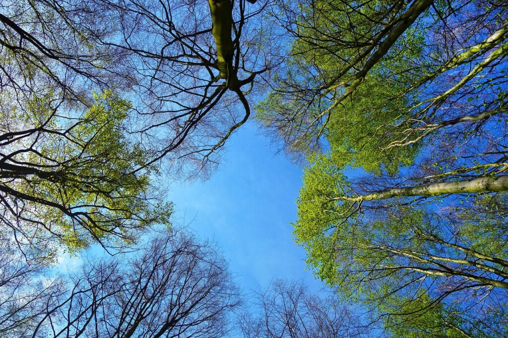 ワキガに効果的な薬の口コミはどれが信頼できる？